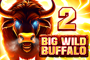 Play Big Wild Buffalo 2